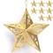 Gold Star Christmas Tree Ornaments Set COLLAPSIBLE (8 ct.) 5 Inches Tall